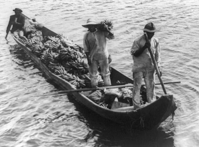 Boat Transporting Bananas, Panama, Between 1890 And 1923