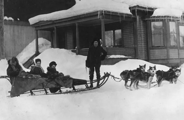 Dog Sled, Alaska, Between 1900 And 1930