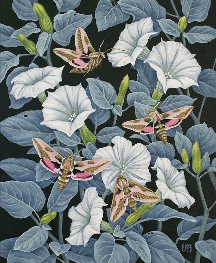 This Artist Creates Beautiful Paintings That Are A Mix Of Nature And Fantasy (45 Pics)