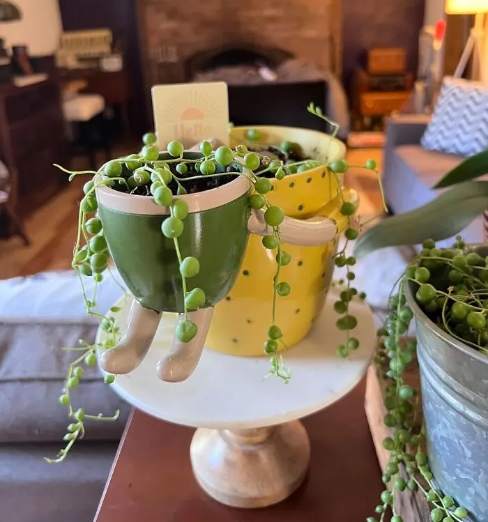 Okay But These <a Style="Display:inline;" Href="Https://Www.amazon.com/Virtune-Vmd00-Planter-Light-Yellow/Dp/B09yhb815y?ie=utf8&th=1&linkcode=ll1&tag=bpgiraffe-20&linkid=7c443552c58e2fee96b3cd587f75ad3d&language=en_us&ref_=as_li_ss_tl" Target="_blank"><span Style="Font: Inherit; Color: #d74b1f;"> Adorable Plant Pots </Span> Depicting A Parent Plant Scooping Up Their Little Seedling Are Basically The Purest Thing We've Seen All Week