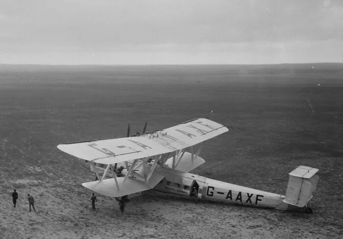 Camel & Plane
