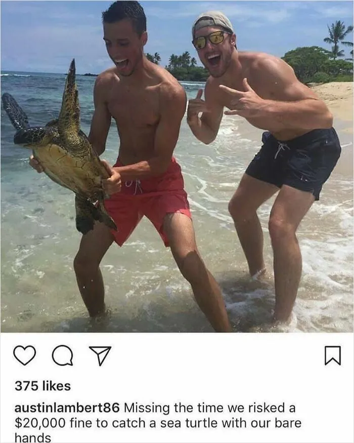 This Is What You Don’t Do Folks