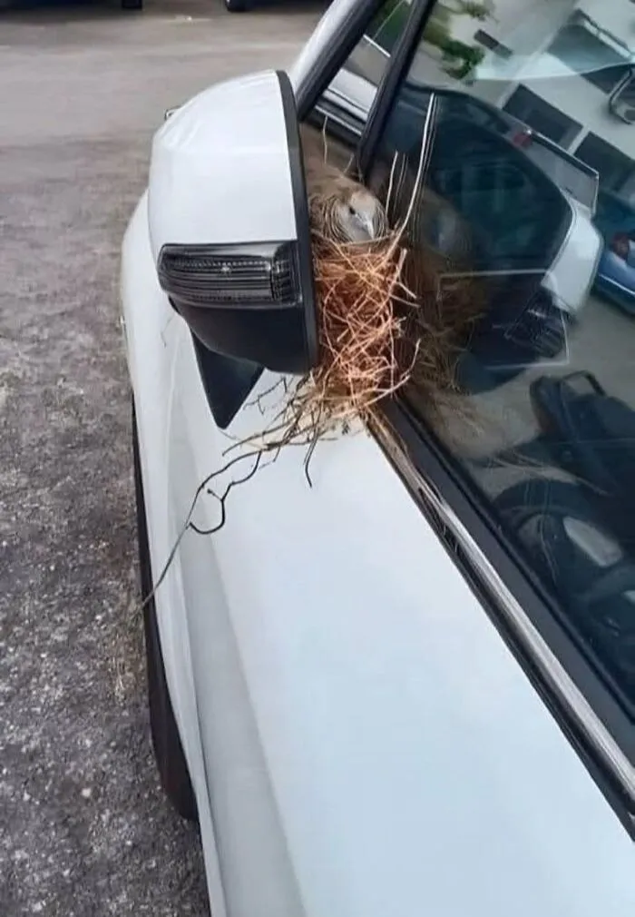 ¿Y ahora qué hago?