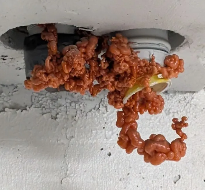 Unusual clogged sprinkler with orange foam buildup showing an unexpected fail in anything gone wrong collection.
