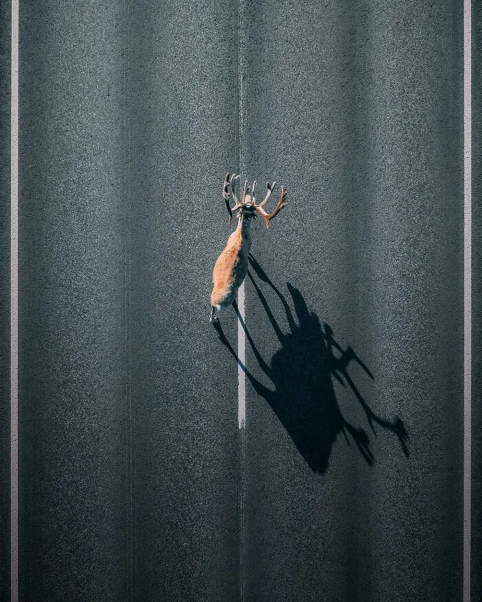 37 Jaw-Dropping Aerial Photos Taken By Borsch