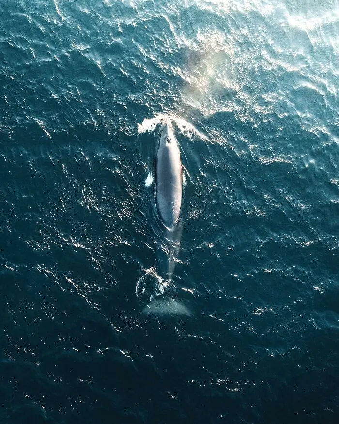 37 Jaw-Dropping Aerial Photos Taken By Borsch