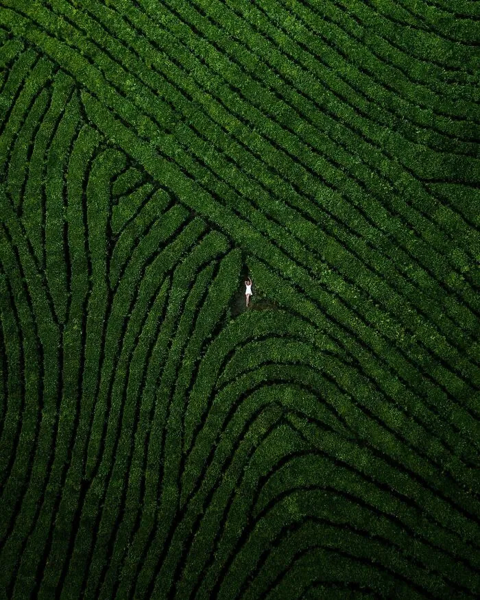 37 Jaw-Dropping Aerial Photos Taken By Borsch