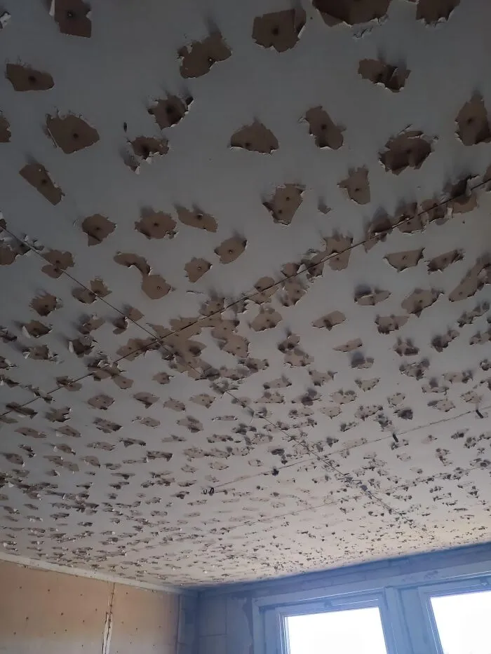 Ceiling with extensive paint peeling and damage, an unexpected fail in home repair and maintenance gone wrong.