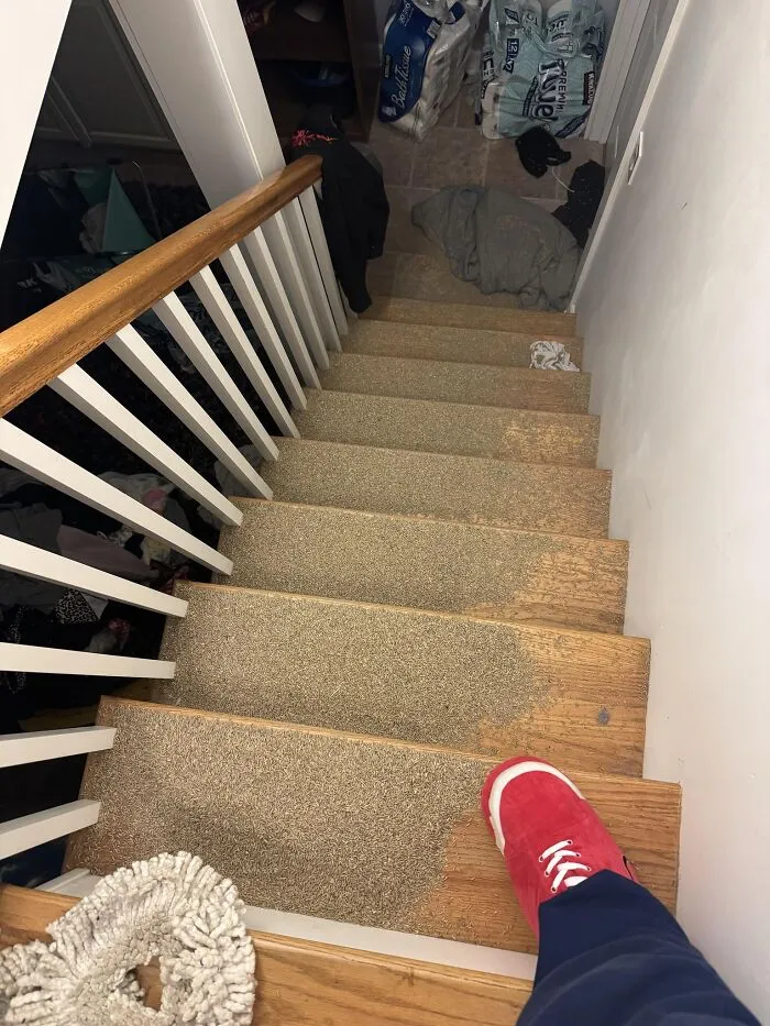 Worn carpet on wooden stairs showing unexpected fails with flooring in a home setting and a person’s red shoe.