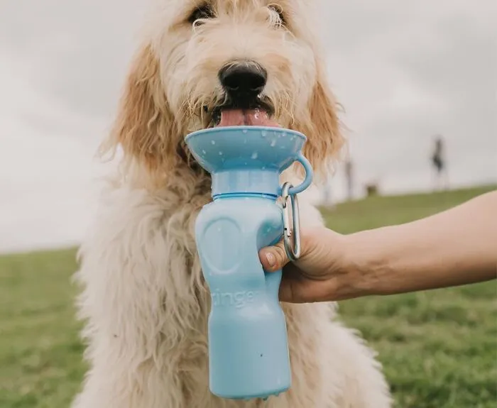 Your Dog's Outdoor Adventures Just Got A Whole Lot More Hydrated (And Less Messy For You) Thanks To The Shark Tank-Approved <a Style="Display:inline;" Href="Https://Www.amazon.com/Dp/B09ch926j4?ascsubtag=7840582%2c9%2c30%2cd%2c0%2c0%2c0%2c1396%3a1%3b900%3a2%3b974%3a1%3b1338%3a1%2c59556347%2c0%2c0%2cgoogle&btn_ref=srctok-E515f3764176d0a3&th=1&linkcode=ll1&tag=bpcheetah-20&linkid=0a2fc35957006e2250bd012c93461e3d&language=en_us&ref_=as_li_ss_tl" Target="_blank"><span Style="Font: Inherit; Color: #d74b1f;"> Springer Dog Water Bottle </Span>