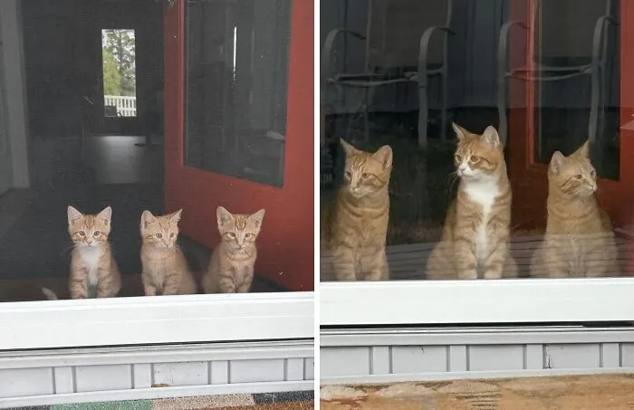 May 2024 vs. May 2025