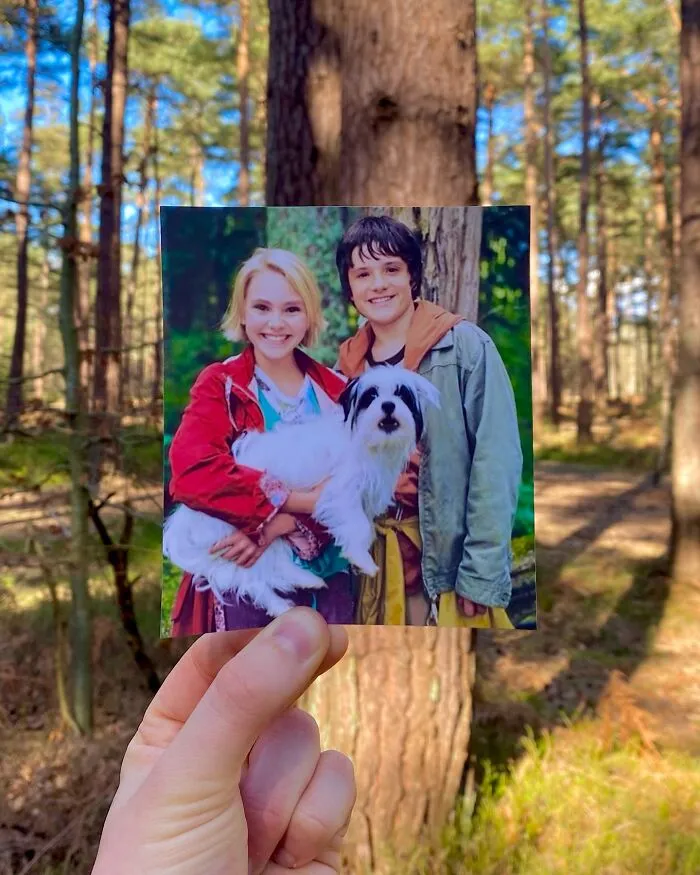Bridge To Terabithia