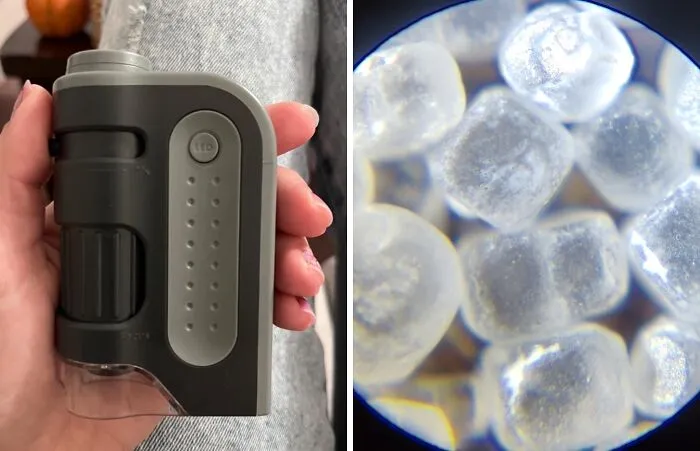 Become A Sidewalk Scientist And Examine Tiny Things Up Close With The Surprising Power Of A <a Style="Display:inline;" Href="Https://Www.amazon.com/Carson-Microbrite-60x-120x-Lighted-Microscope/Dp/B00lax52iq?ie=utf8&th=1&linkcode=ll1&tag=bpgrape-20&linkid=831aa2e40511f41070c8fd4e152e73ed&language=en_us&ref_=as_li_ss_tl" Target="_blank"><span Style="Font: Inherit; Color: #d74b1f;"> Pocket Microscope </Span>