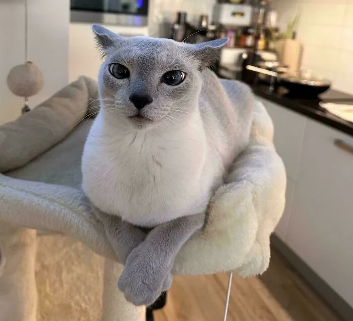 I Dared To Look At Her