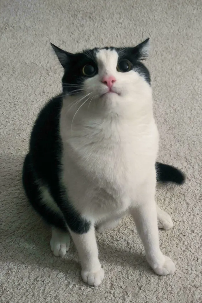 I Said His Name