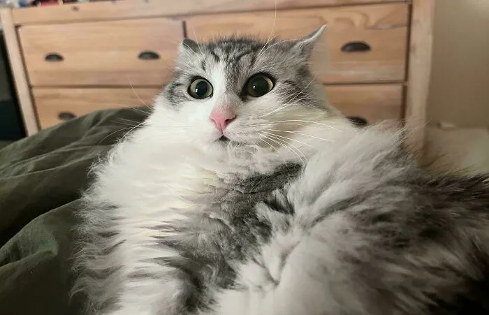 I Blew My Nose. Sorry Sir Won’t Happen Again