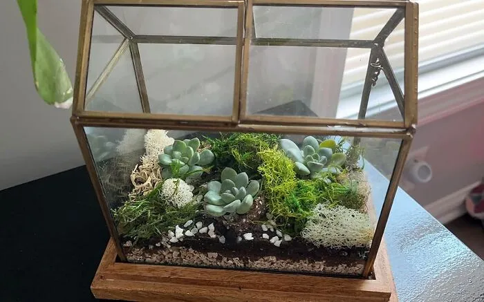 Your Apartment Might Not Have A Yard, But Your Desk Can Totally Have Its Own Stylish, Miniature Green Paradise With This <a Style="Display:inline;" Href="Https://Www.amazon.com/Cute-Farms-Terrarium-Vermiculite-Finishing/Dp/B08jrr6278?ie=utf8&th=1&linkcode=ll1&tag=bphorse-20&linkid=bdf39318d071c2d8568efca4be86f6c0&language=en_us&ref_=as_li_ss_tl" Target="_blank"><span Style="Font: Inherit; Color: #d74b1f;"> Glass Terrarium For Succulents </Span>, Making You Feel Like A Tiny, Trendy God Of Your Own Little World
