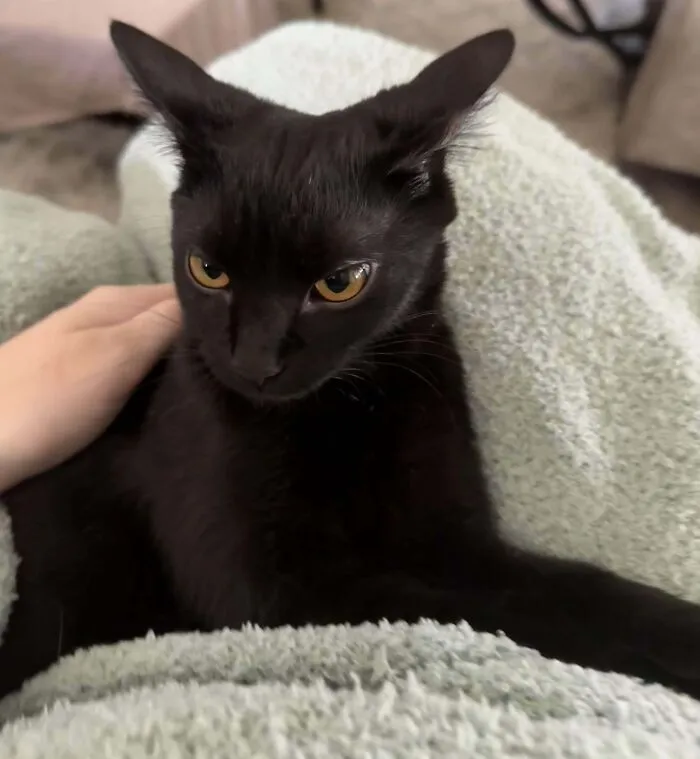 She Heard My Toddler Calling For Her