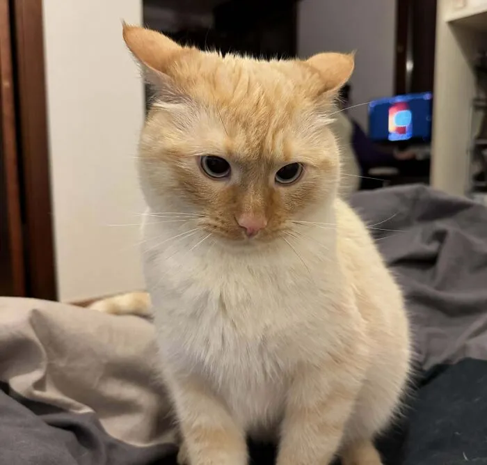 My GF Told Him Pspssps