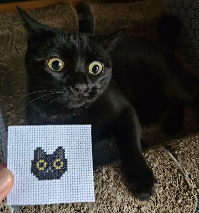 Showed Her A Portrait Of Herself