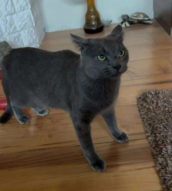 He Was Acting Like A Little Demon. I Didn’t Know Whether To Laugh Or Run