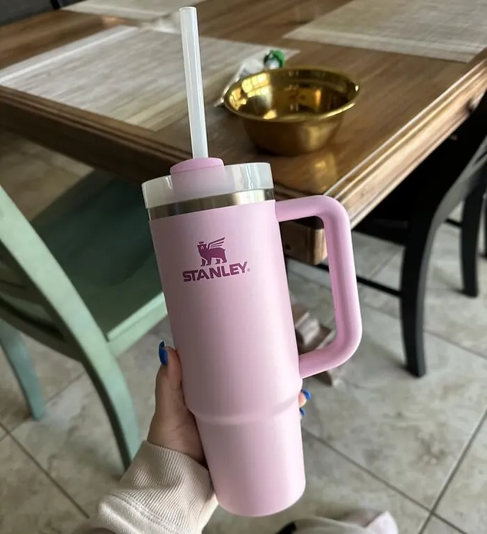 Your Emotional Support Water Just Found Its Ultimate, Very Large, And Quite Trendy Home In A <a Style="Display:inline;" Href="Https://Www.amazon.com/Flowstate-3-Position-Compatible-Insulated-Stainless/Dp/B0dr9pnxx3?ie=utf8&linkcode=ll1&tag=bpgoose-20&linkid=aac4bb74cad3e6bf4405af875eded586&language=en_us&ref_=as_li_ss_tl" Target="_blank"><span Style="Font: Inherit; Color: #d74b1f;"> Stanley Tumbler </Span>