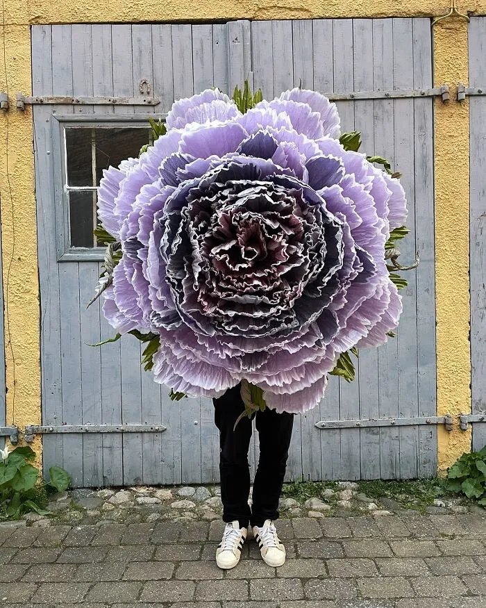 34 Enormous Tissue Paper Flowers Created By This Artist (New Pics)