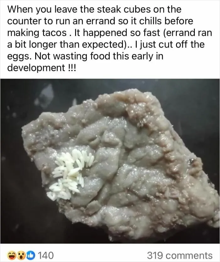 40 Disgusting Pics Of Food Someone Actually Was Served And Even Ate