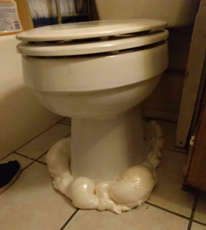 Landlord "Fixed" The Toilet