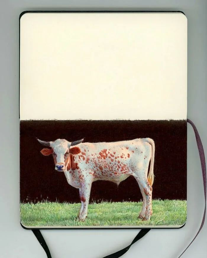 30 Sketchbook Drawings By Nicolas V. Sanchez That Show The Power Of Ballpoint Pen Art