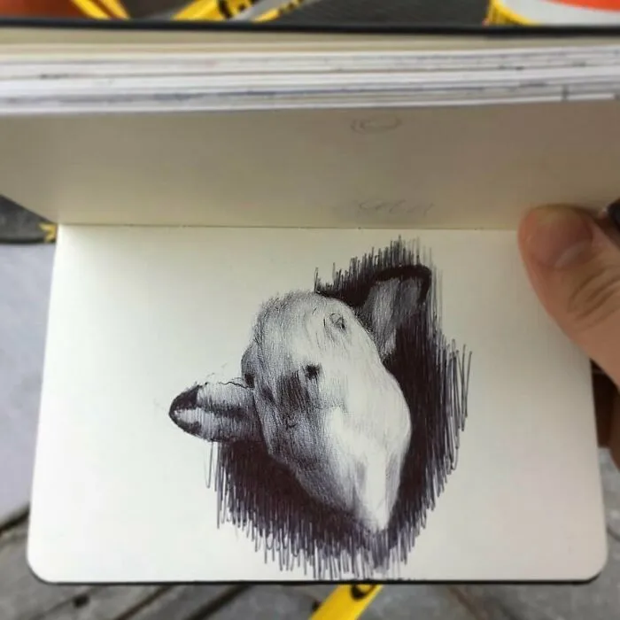 30 Sketchbook Drawings By Nicolas V. Sanchez That Show The Power Of Ballpoint Pen Art