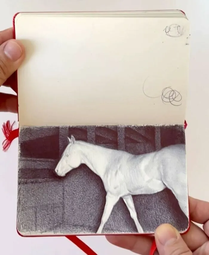 30 Sketchbook Drawings By Nicolas V. Sanchez That Show The Power Of Ballpoint Pen Art