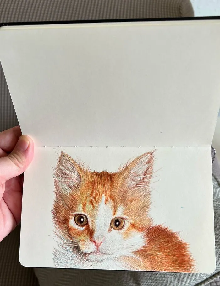 30 Sketchbook Drawings By Nicolas V. Sanchez That Show The Power Of Ballpoint Pen Art