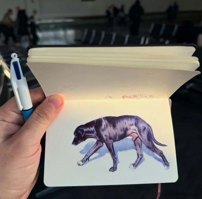 30 Sketchbook Drawings By Nicolas V. Sanchez That Show The Power Of Ballpoint Pen Art