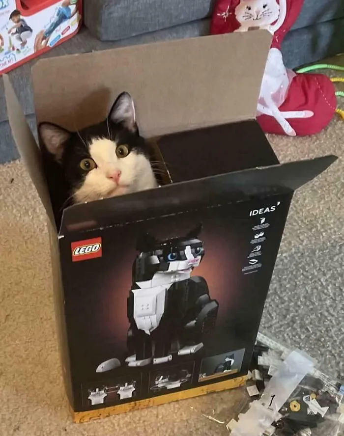 LEGO Sets Are Getting Way Too Realistic