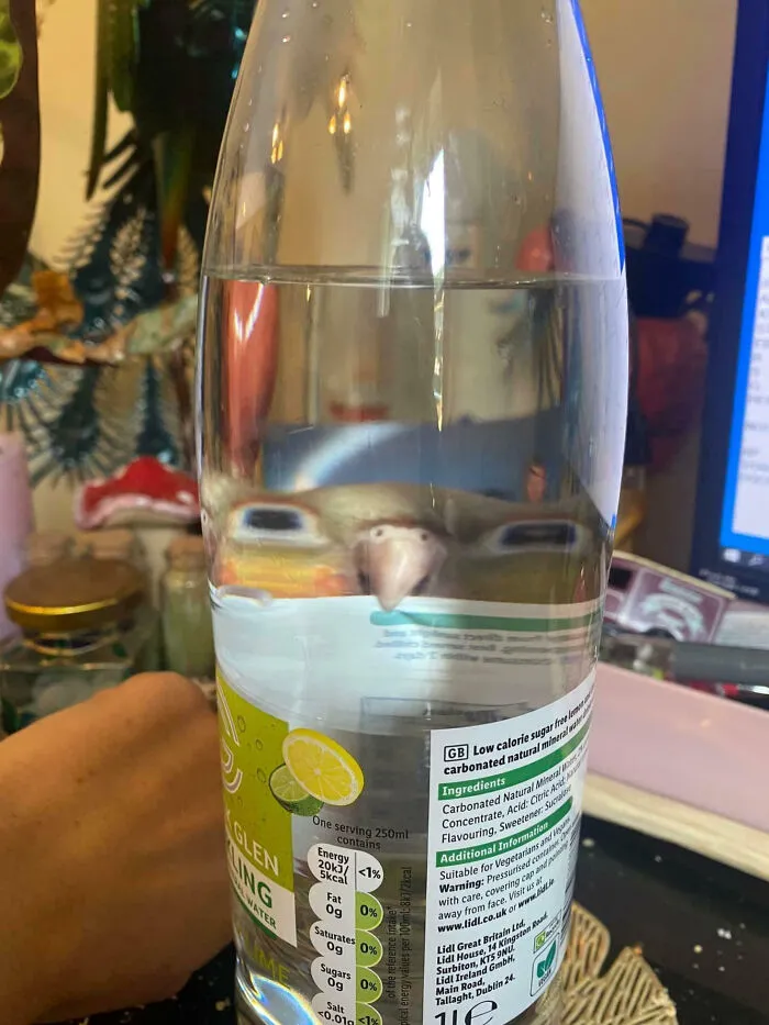 My Drink Is Watching Me