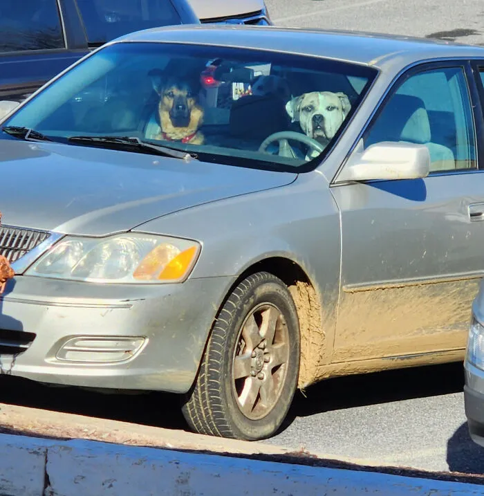 These Fellas Look Highly Suspicious, Also The Car May Be Stolen. Not Sure If I Should Report It Or Not