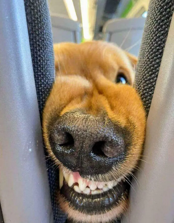 Hi! Got Any Snacks?