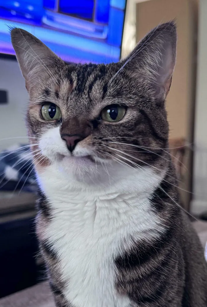 Still Making This Face After Losing Her Top 2 Canine Teeth