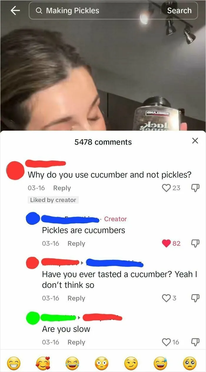 This Interaction On A TikTok About Making Pickles