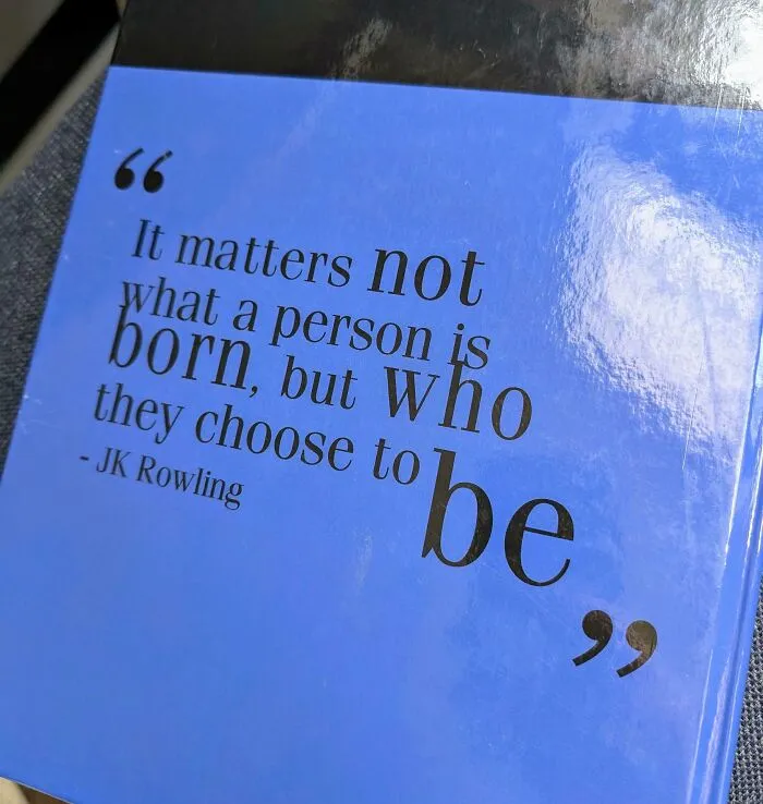 The Back Of My High School Year Book (2007)