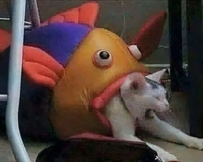 30 Cursed Images That Might Keep You Up At Night