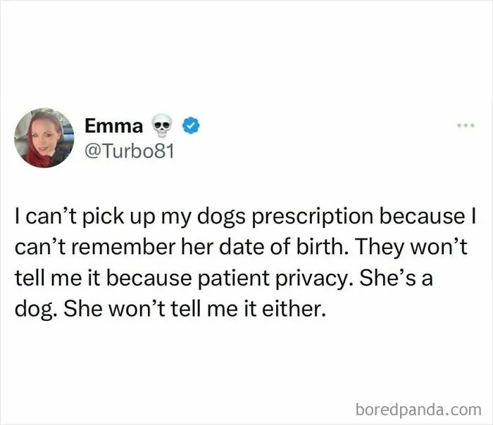 50 Memes That Might Make You Laugh So Hard You Forget What You Were Sad About