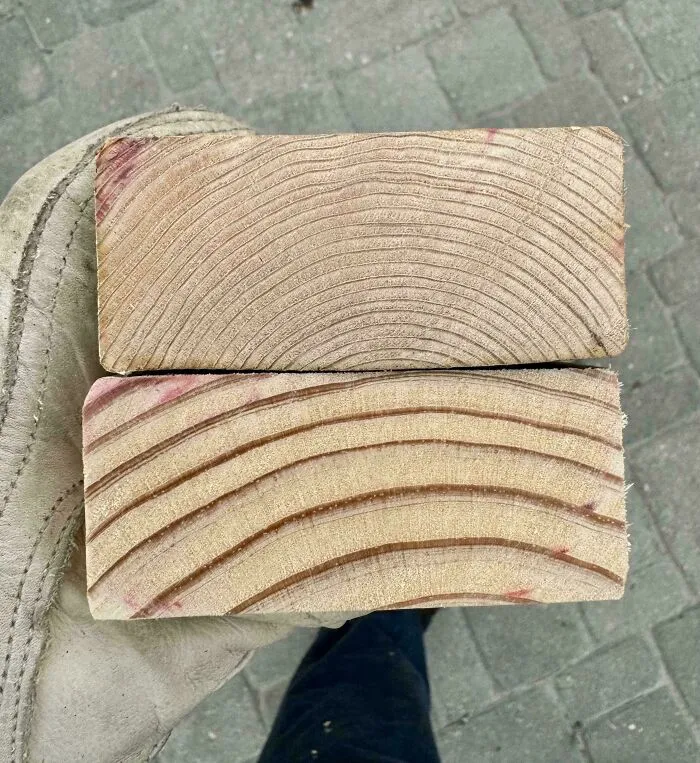 Old Growth Lumber vs. Modern Factory Farmed Lumber