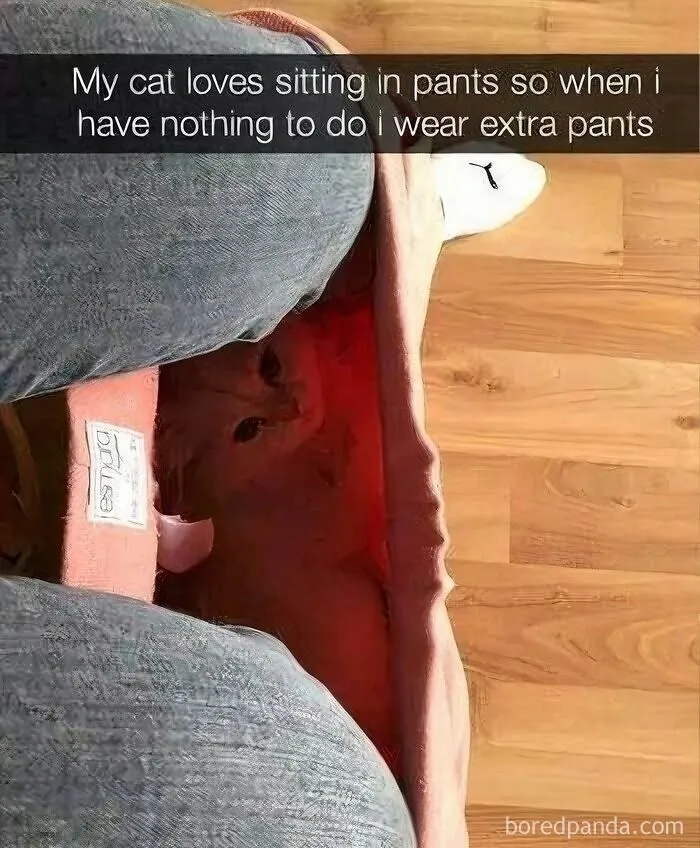 These 50 Hilarious Animal Posts Are Why We Don’t Deserve The Internet, Or Pets, Or Peace