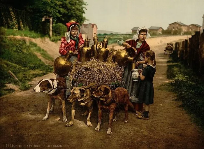 Milksellers, Brussels, Belgium, C. 1890