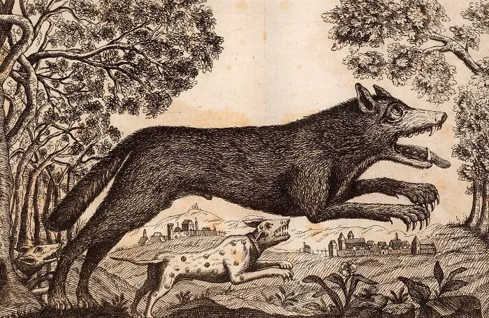The Mysterious Beast Of Gevaudan Attacked Hundreds Of Women And Children