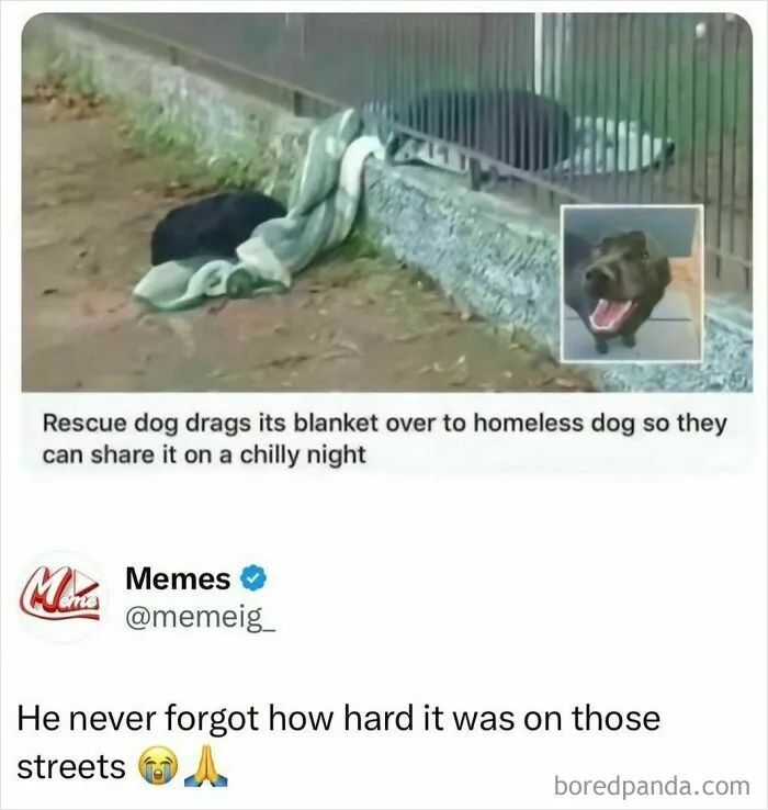 50 Memes That Hit Too Close To Home In The Funniest Way (New Pics)