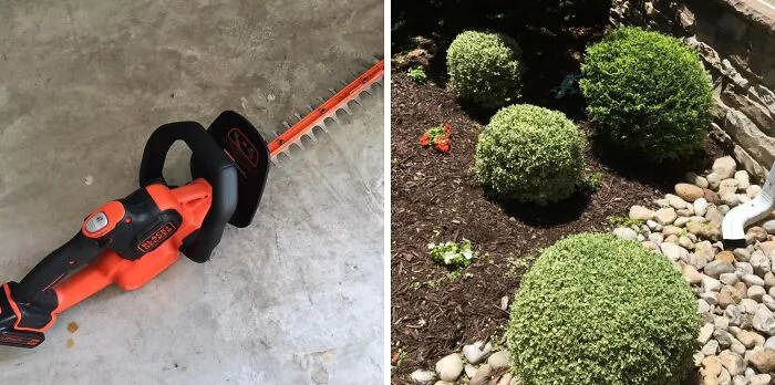 Stop Letting Your Hedges Look Like They’re Having A Perpetual Bad Hair Day; The <a Style="Display:inline;" Href="Https://Www.amazon.com/Behts300-20-Hedge-Trimmer-Saw/Dp/B077zc3ngz?pd_rd_w=sdv96&content-ID=amzn1.sym.9cf17164-13e4-4652-96f9-F76b8f33fec0&pf_rd_p=9cf17164-13e4-4652-96f9-F76b8f33fec0&pf_rd_r=40rm7vg735qff4g32sfv&pd_rd_wg=ikoap&pd_rd_r=5bbea9d0-06b8-430d-8f09-E1400556e052&pd_rd_i=b077zc3ngz&psc=1&linkcode=ll1&tag=bpowl-20&linkid=d438af538127f9ea2fab2064ef64b800&language=en_us&ref_=as_li_ss_tl" Target="_blank"><span Style="Font: Inherit; Color: #d74b1f;"> Black+decker Hedge Trimmer </Span> Is The Stylist They Desperately Need