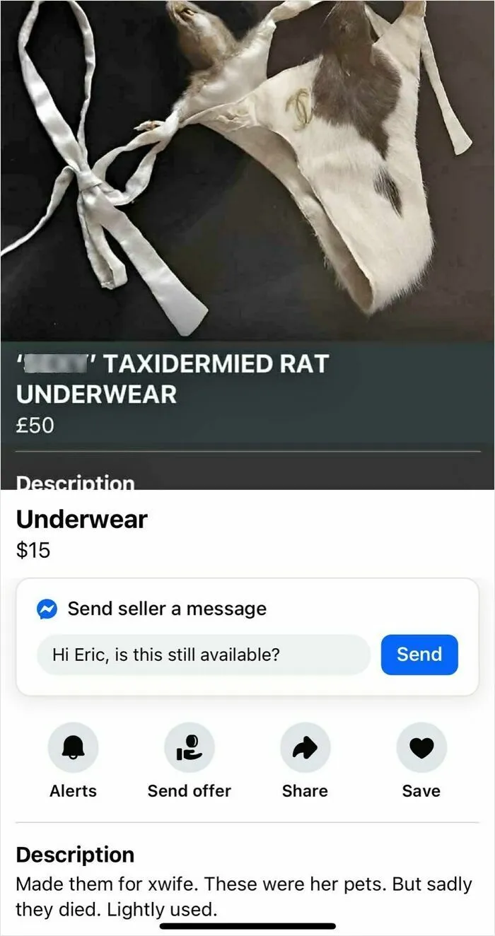 Did I Do It Guys